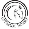 Ecurie Optimum Horses